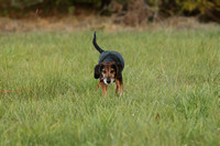 IMG_8863a