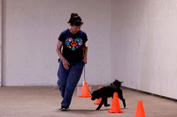 5/22 GSDCGE Obedience Trials
