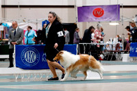 _MG_3455a