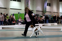 IMG_1861 (2)
