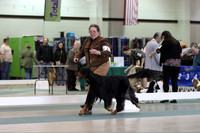IMG_1518 (2)