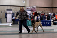 IMG_2911 (2)