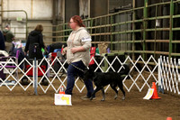 IMG_3557a