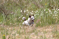 IMG_3837 (2)