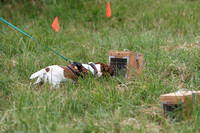 IMG_3946 (2)