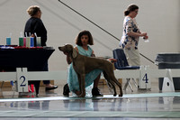 IMG_2297 (2)
