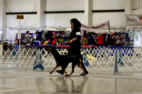 _MG_1572 (2)