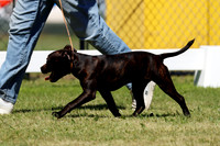 _MG_1277 (2)