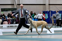 2024 Silver Falls Kennel Club