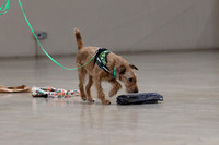 IMG_9728a