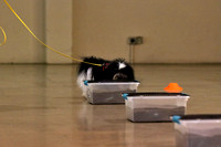 IMG_4904 (2)