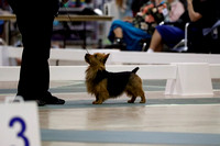 _MG_0524 (2)
