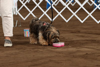 IMG_0507 (2)