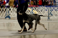 _MG_1550 (2)