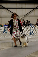 _MG_9040 (2)