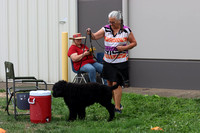 2023 Portuguese Water Dog National