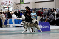 IMG_3654a