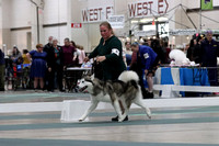 IMG_3664a