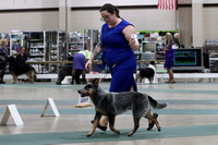 IMG_6033a