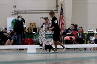 IMG_1471a
