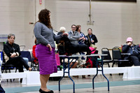 IMG_4537a