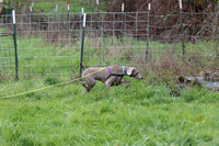 IMG_7025a