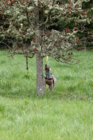 IMG_7698a