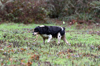 IMG_7260a