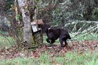 IMG_7371a