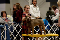 _MG_9569 (2)