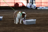 IMG_8691a