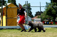 _MG_1718 (2)