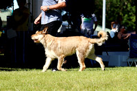 _MG_0890 (2)