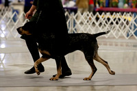 _MG_1528 (2)