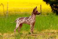 _MG_0932a