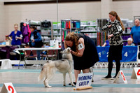 _MG_2862a