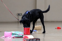 IMG_9677a