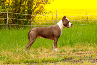 _MG_0988a
