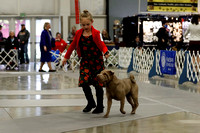 _MG_2111 (2)