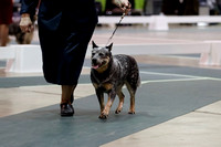 _MG_8819 (2)