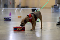 IMG_8643a