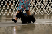 _MG_6790 (2)