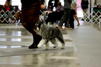 _MG_2633 (2)