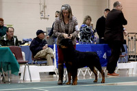 _MG_0593 (2)