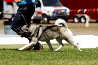 _MG_0002 (2)