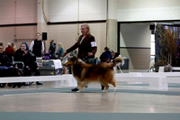 _MG_0226 (2)