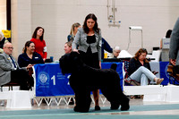 _MG_4749a