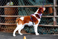 _MG_5354a