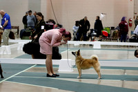 _MG_8899 (2)