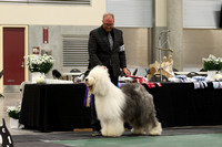 IMG_7235a